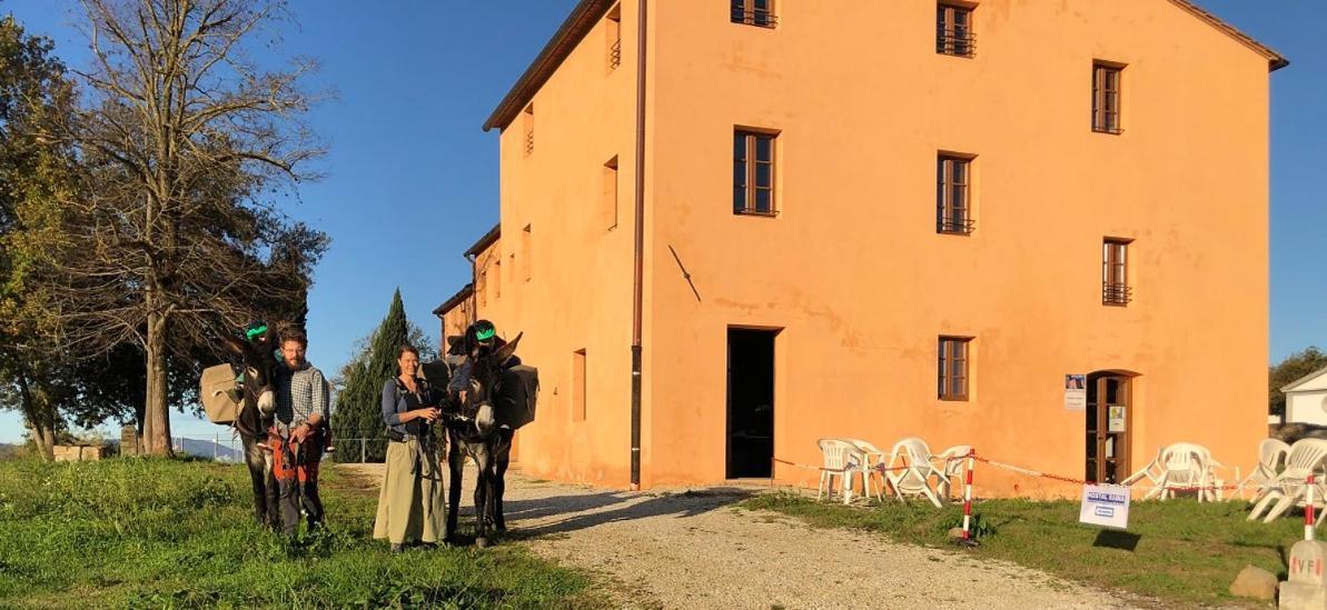 Hostal Badia アルトパーショ エクステリア 写真